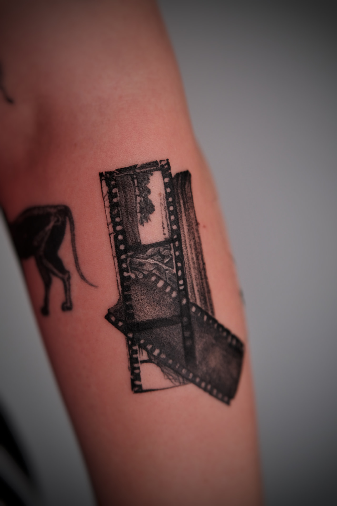 Previous tattoo work 18