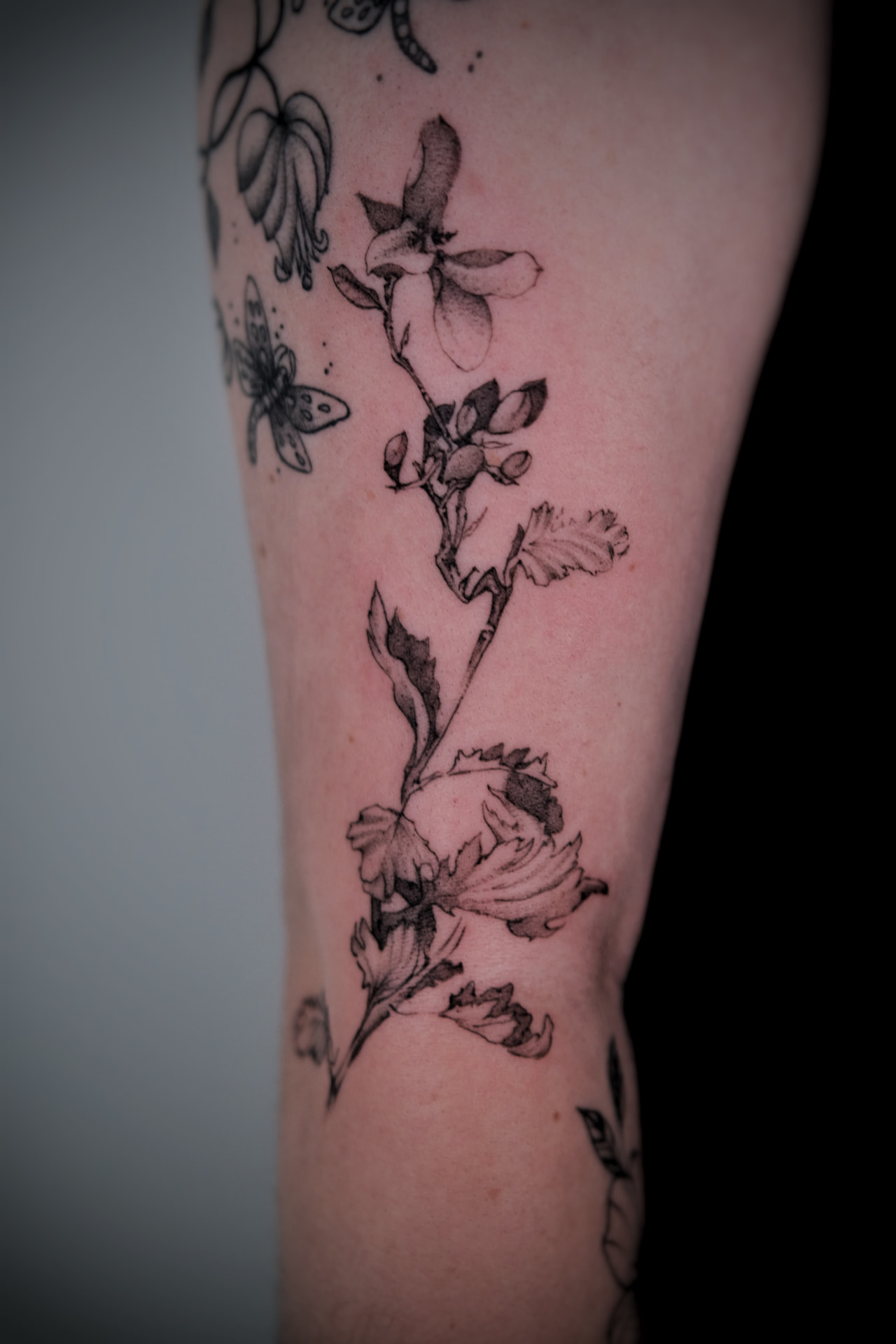 Previous tattoo work 07